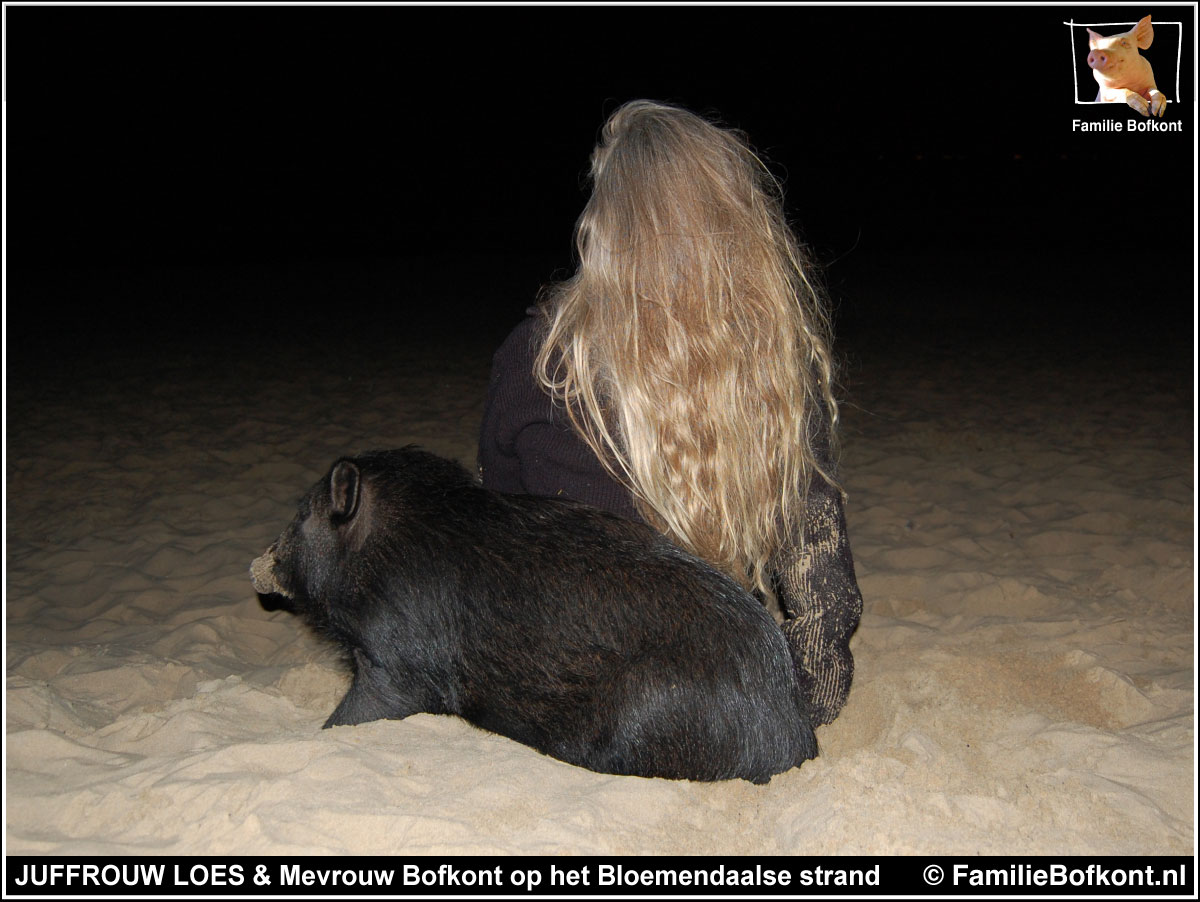 JUFFROUW LOES & Mevrouw Bofkont op het Bloemendaalse strand